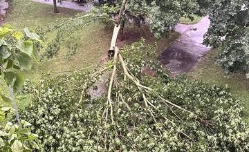 FOTO: Búrka, ktorá sa v stredu prehnala Nitrou a okolím, lámala aj stromy 